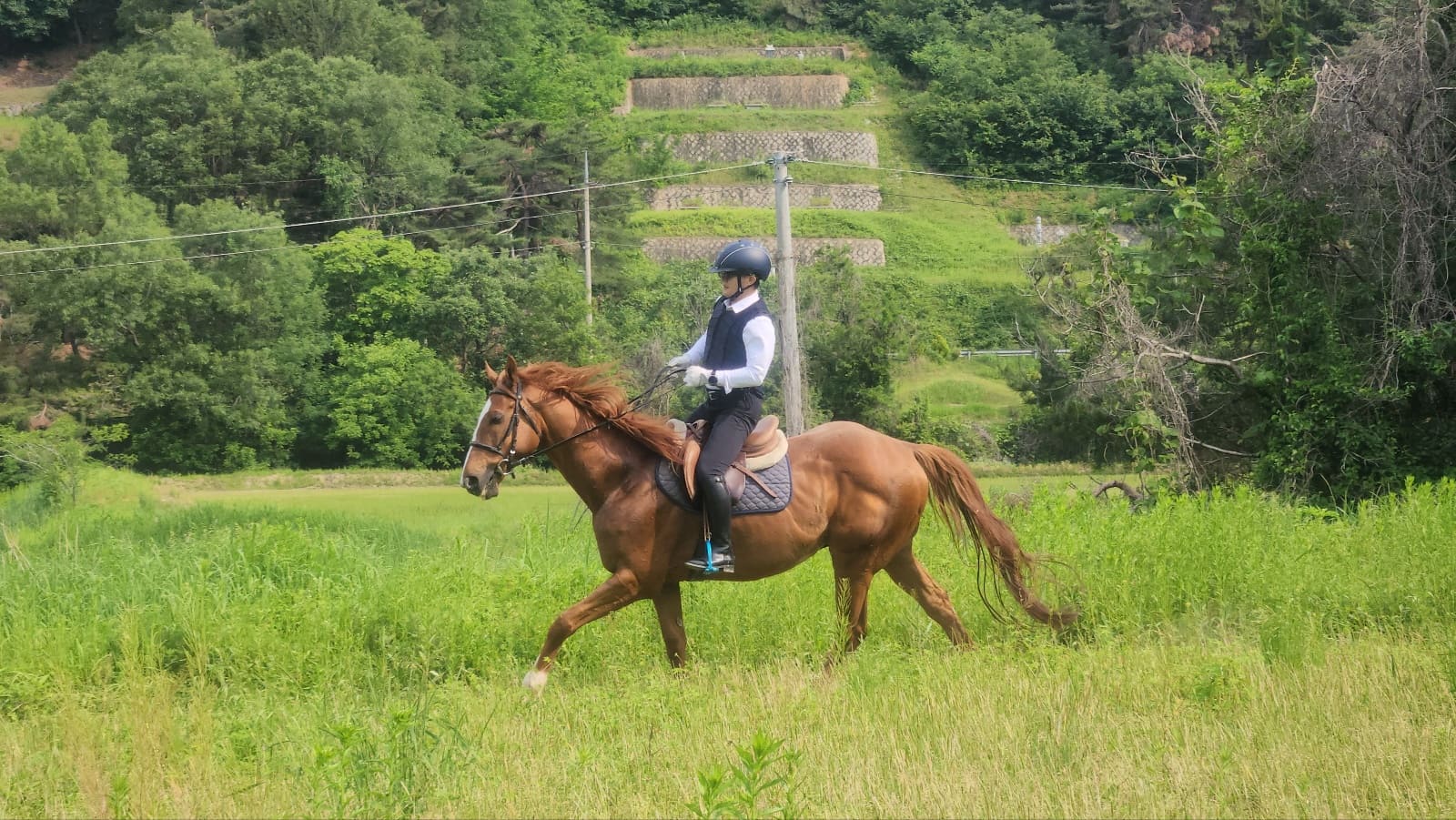 Running through green fields on a sunny day – A healing trip to nature